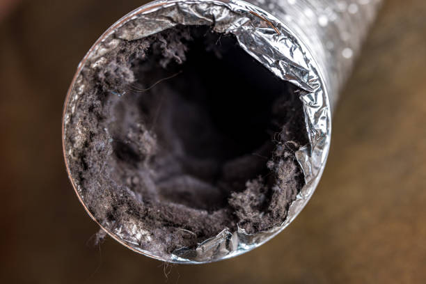 Best HVAC System Cleaning  in New Brockton, AL