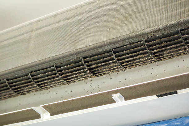 Best Best Air Duct Cleaning Company  in New Brockton, AL